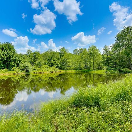Secluded Poconos Cabin With Fire Pit On 75 Acres! East Stroudsburg Exterior photo
